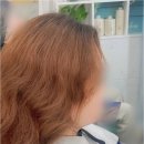 무지개미용실 네이버블로그
