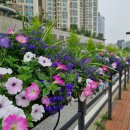 시흥대로 이미지