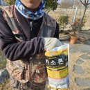 제이와이팜 이미지