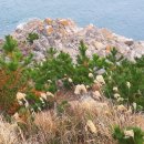 섬어부밥상 이미지