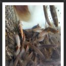 그집추어탕 이미지