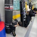 봉연관 가포도장 이미지