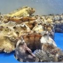 경기도 수원시 권선구 세권로 243 이미지