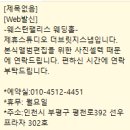 서브포스 | [부평] 웨스턴팰리스 더브릿지 서브스냅 앨범 셀렉 후기(솔직후기)