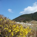 뭉게구름 이미지