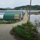 연리지농장 이미지