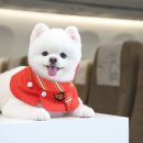오붓 이미지