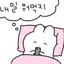 똣똣라면제주시
