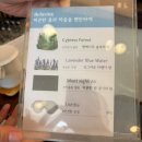 강동-길동-2327 | 길동미용실 이철헤어커커 강동역점 : 모발 클리닉 루잇 여진 원장님 첫방문이벤트 솔직후기