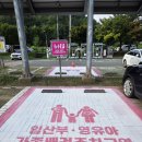주차11 뉴시스