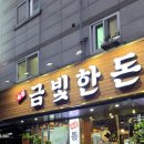 금빛한돈 이미지