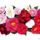 성신여대입구역 우이신설 이미지