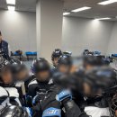 블루바우어
