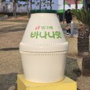 미스터벌룬이벤트 | 2026 제2회 김해 한우축제 리뷰 일정 행사 기본정보 공연 가수 / 마이진 팬카페 정회원 되다