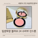 더선스톤주식회사 | 🍊 입생로랑 블러쉬 24 수아브 선스톤 - 웜톤 블러셔 후기