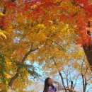 웰빙산업 | 서산한우목장길 웰빙 산책로 방문 후기_한국의 알프스