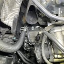 219모터스 이미지