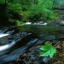 행복한 순간 이미지