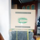 천일(550) 이미지