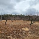 왕신2리 이미지