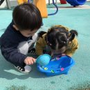 화순아이샘터어린이집 이미지