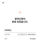 앨엔피코스메틱