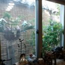 경상도추어탕식당 이미지