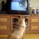 춘자농장 이미지