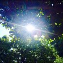 으뜸50안경삼성점 이미지