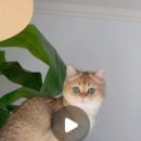 라운드브리(roundbri) 이미지