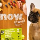 로얄퍼피 이미지