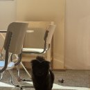 사평대로6길 66-LED | [일상] 11월 2주차 :: 묘니로그