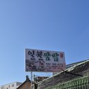 일월쌈밥 | 홍천맛집 일월쌈밥 후기 반찬이 상다리 부러질 정도! 캠핑 중 들른 최고의 한식집