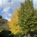 배론성지 | 제천 배론성지 가족 나들이 후기🍂