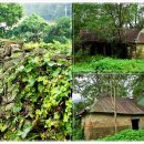 강화군 석모도자연휴양림 이미지