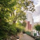 용산-현장-1866 이미지