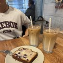 알파플러스어학원 | ➊⓿ november in vancouver 🇨🇦