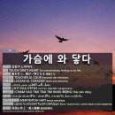 가슴에 와 닿다 이미지