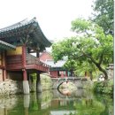 2481-한밤의 사진편지 제2481호(한사모 순천지역 걷기 참가요령 안내/&#39;17/4/7/금)