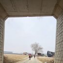경기둘레길 안성43코스 | 20260213(금)경기둘레길 안성 43코스