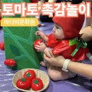 아빠와 함께하는 신체놀이(6-7세) | 아인병원 문화센터 마더비문화원 엄마 아빠와 함께하는 토요수업 &#39;베이비붐&#39; 토마토 촉감놀이
