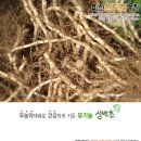 백현숙의어성초사랑