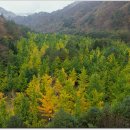 칡소폭포 이미지