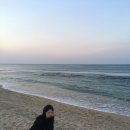 버거킹강릉교동SK점 | [강릉 1박2일 여행]- 뚜벅이 1박 2일 먹부림 여행코스