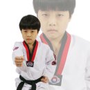 노화태권도 이미지