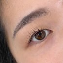 회기5 | 회기 속눈썹펌 맛집 플린하우스 회기점 컬링 대만족 후기