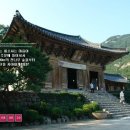 나비랑 한옥 이미지