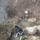 은별이네 이미지