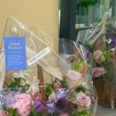 런던 애견하우스 이미지