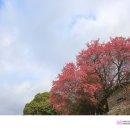 사운즈옥천